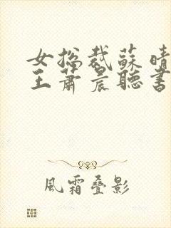 女总裁苏晴与兵王萧晨听书免费阅读