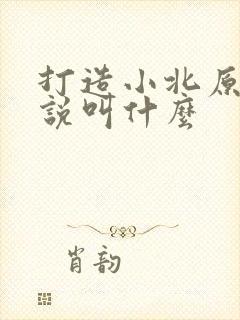 打造小北原著小说叫什么