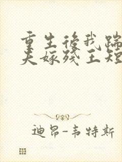 重生后我踹掉渣夫嫁残王短剧免费观看