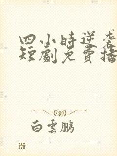 四小时逆袭指南短剧免费播放