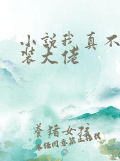 小说我真不是女装大佬