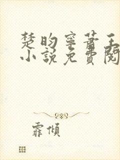 楚昀宁萧王穿越小说免费阅读无弹窗