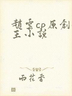 赵云cp原创女主小说
