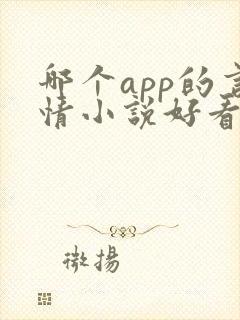哪个app的言情小说好看