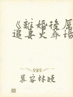 《离婚后厉先生追妻火葬场》