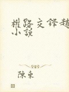 权路交锋赵锐龙小说