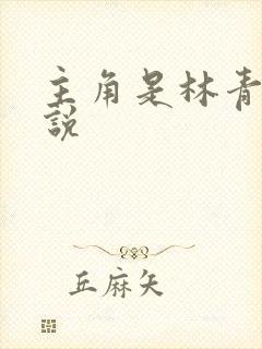 主角是林青的小说