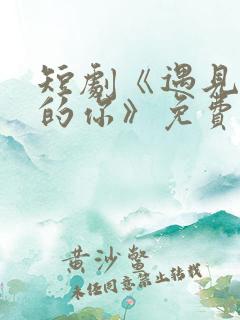 短剧《遇见正确的你》免费观看全集