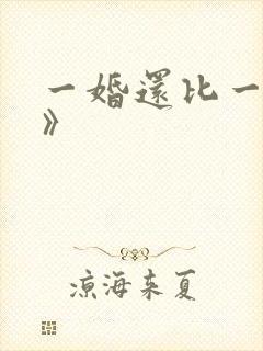 一婚还比一婚高》