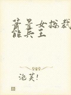 萧晨女总裁的全能兵王