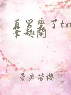 直男弯了txt笔趣阁