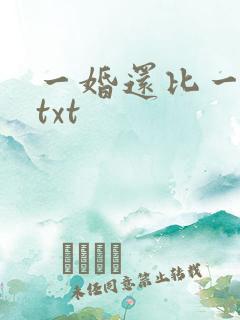 一婚还比一婚高txt