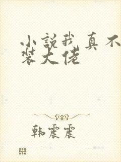 小说我真不是女装大佬