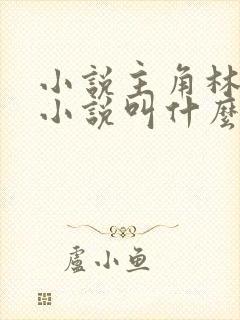 小说主角林云的小说叫什么