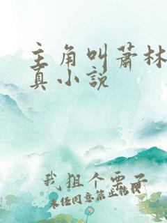 主角叫萧林的修真小说