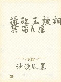 摄政王被调教成禁脔h虐