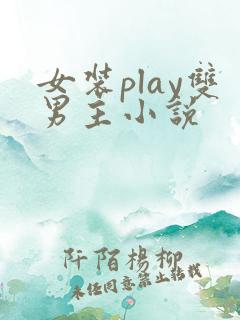 女装play双男主小说