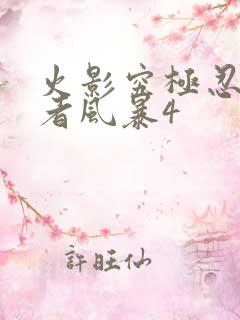 火影究极忍者忍者风暴4