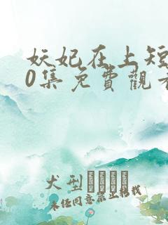 妖妃在上短剧80集免费观看