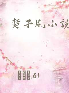 楚子风小说主角