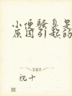 小便骚臭是什么原因引起的