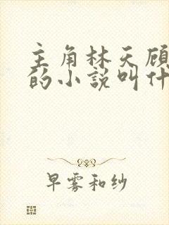 主角林天顾悦瑶的小说叫什么