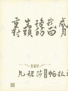 重生后我成了死对头的白月光