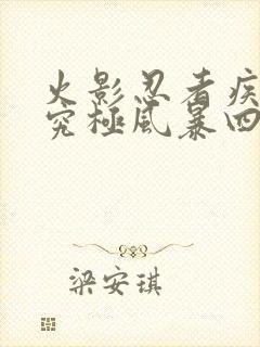 火影忍者疾风传究极风暴四