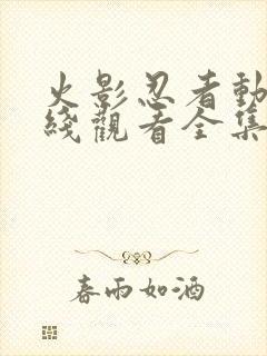 火影忍者动漫在线观看全集免费