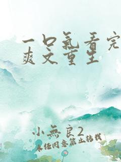 一口气看完小说爽文重生