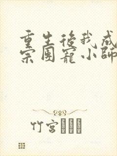 重生后我成了丹宗团宠小师妹txt