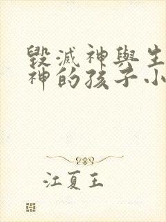 毁灭神与生命女神的孩子小说