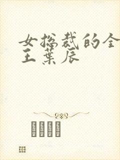 女总裁的全能兵王叶辰