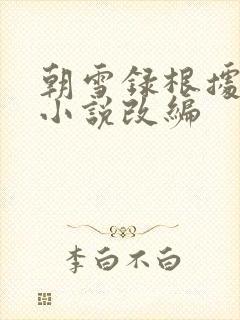 朝雪录根据什么小说改编