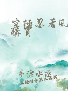 究极忍者风暴4购买