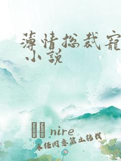 薄情总裁宠甜妻 小说