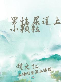 男性尿道上有个小颗粒