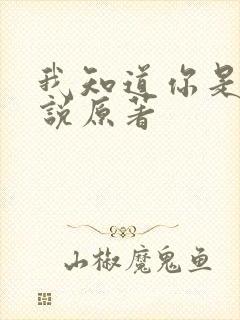 我知道你是谁小说原著