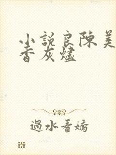 小说良陈美锦沉香灰烬