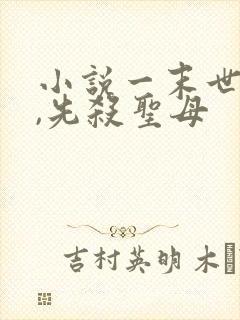 小说一末世降临,先杀圣母