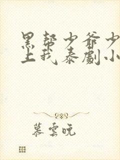 黑帮少爷少爷爱上我泰剧小说