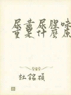 尿黄尿腥味特别重是什么原因