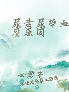 尿黄尿带血是什么原因