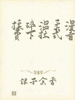 揉碎温柔漫画免费下拉式看漫画最新章节