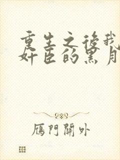 重生之后我成了奸臣的黑月光