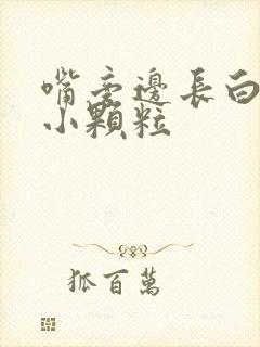 嘴旁边长白色的小颗粒