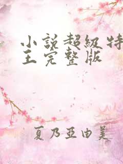 小说超级特战兵王完整版