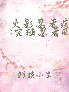 火影忍者疾风传:究极忍者风暴3