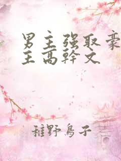 男主强取豪夺女主高干文
