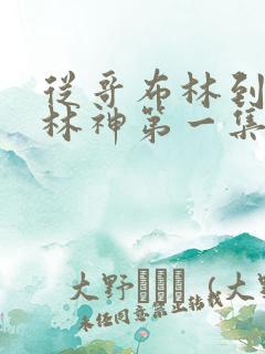 从哥布林到哥布林神第一集收看